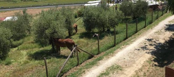 Terreno en Collesalvetti, Italy 10000 m² No. 207677 8