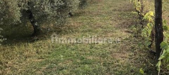 Terreno en Collesalvetti, Italy 10000 m² No. 207677 5