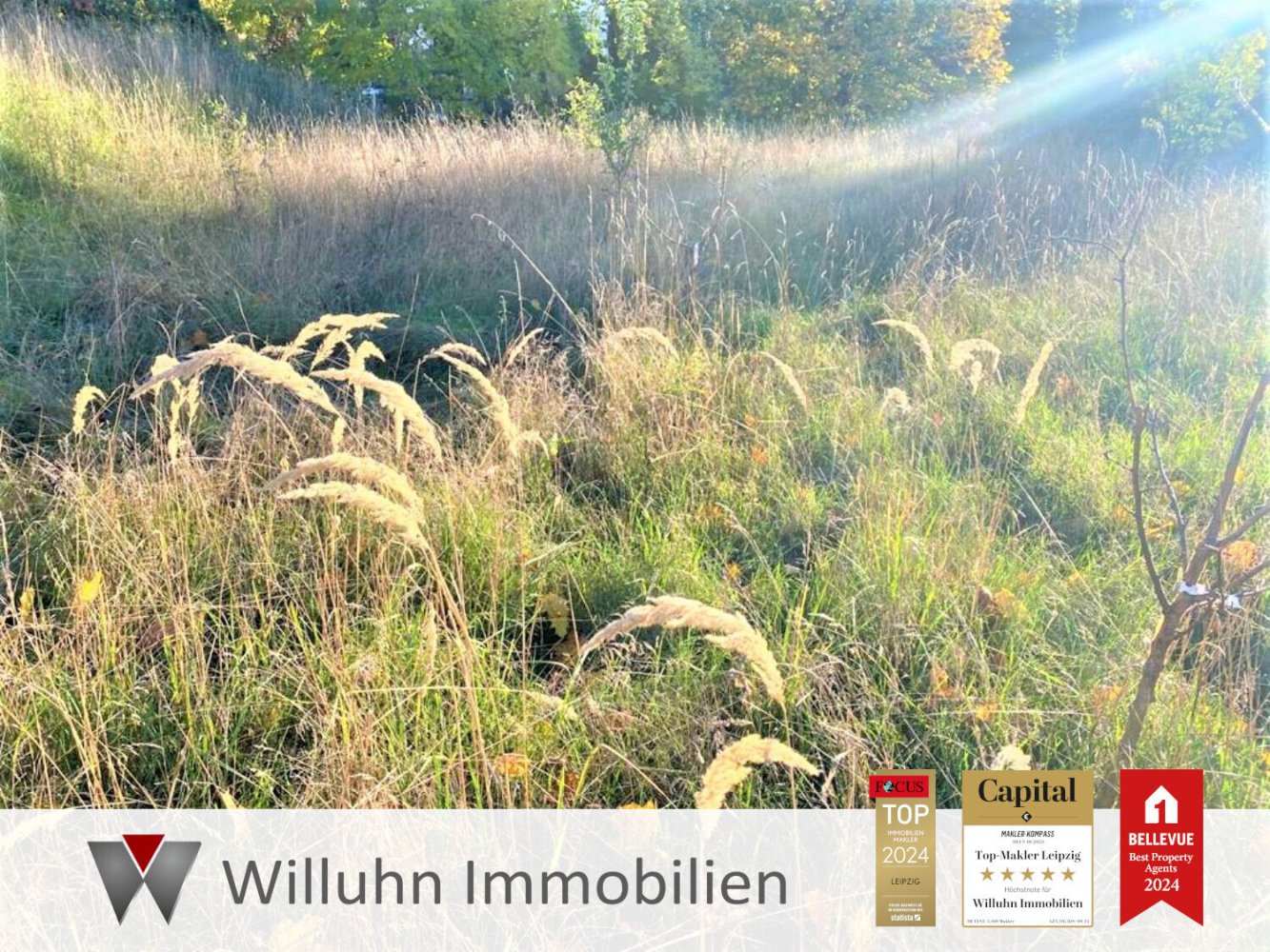 Grundstück in Nordsachsen, Germany, Nr. 185409