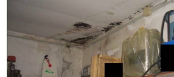 307m² Commercial property in Ariano nel Polesine, Italy No. 328382 15