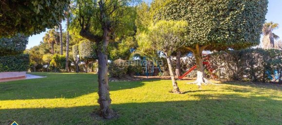 1 bedroom Bungalow in Torrevieja, Spain No. 68312 20