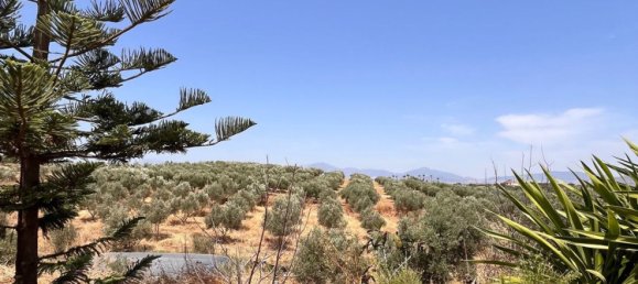 Дом с 3 спальнями в Алаурин-эль-Гранде, Испания № 154263 24