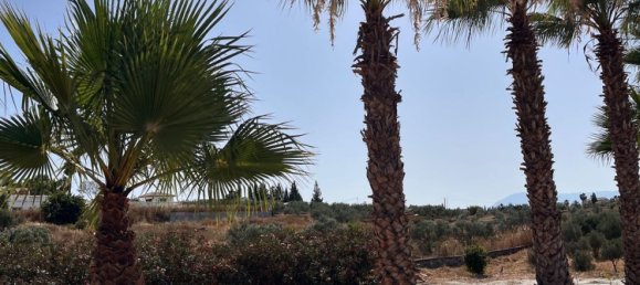 Дом с 3 спальнями в Алаурин-эль-Гранде, Испания № 154263 17