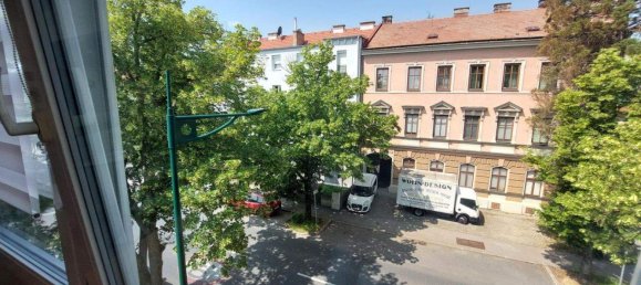 3 rooms Apartment in Modling, Austria No. 253918 9