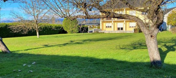 11 rooms House in St. Kanzian am Klopeiner See, Austria No. 171645 15