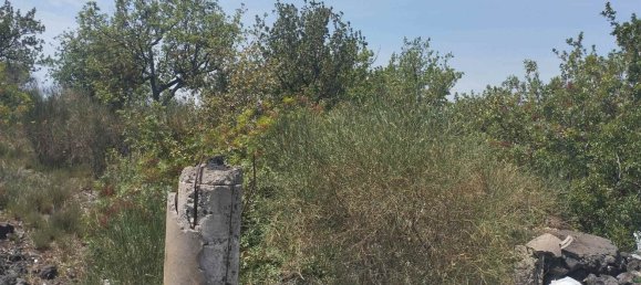 2800m² Land in Misterbianco, Italy No. 51232 2