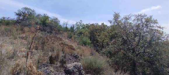 2800m² Land in Misterbianco, Italy No. 51232 30