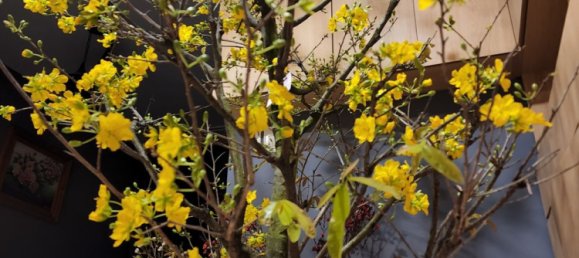 2 Schlafzimmer Wohnung in Thu Duc, Vietnam, Nr. 17186 5