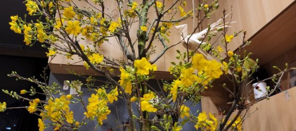 2 Schlafzimmer Wohnung in Thu Duc, Vietnam, Nr. 17186 6