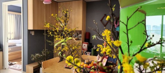 2 Schlafzimmer Wohnung in Thu Duc, Vietnam, Nr. 17186 3