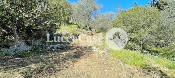 5 rooms House in Lucca, Italy No. 104648 10