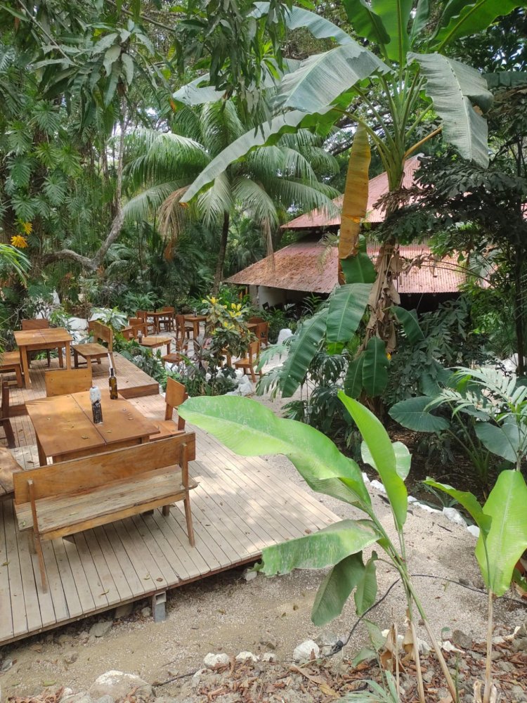 1968m² Commercial property in Jaco, Costa Rica No. 2028