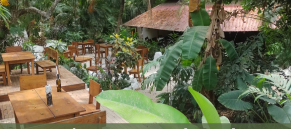 1968m² Commercial property in Jaco, Costa Rica No. 2028 8