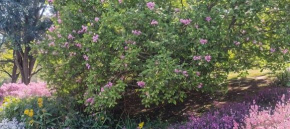 10 rooms House in Wissembourg, France No. 228472 14