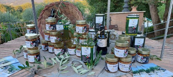 15 bedrooms Villa in Sant'Andrea del Garigliano, Italy No. 324139 40