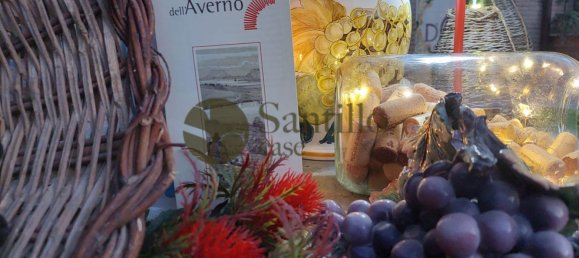 15 bedrooms Villa in Sant'Andrea del Garigliano, Italy No. 324139 37