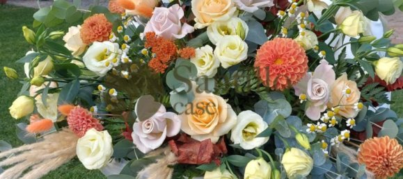 15 bedrooms Villa in Sant'Andrea del Garigliano, Italy No. 324139 6