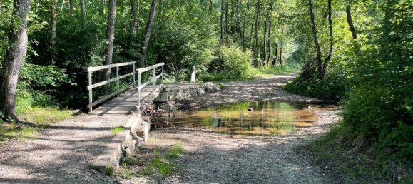  Land in Schiefling am Worthersee, Austria No. 238639 10