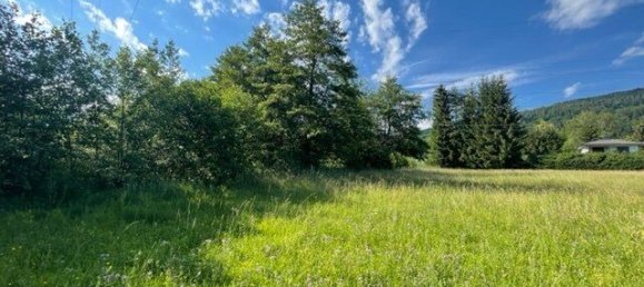  Land in Schiefling am Worthersee, Austria No. 238639 4