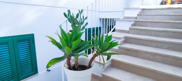 5 chambres Villa à Porto Cesareo, Italy No. 305881 27