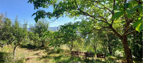 5 bedrooms House in Molazzana, Italy No. 169183 39