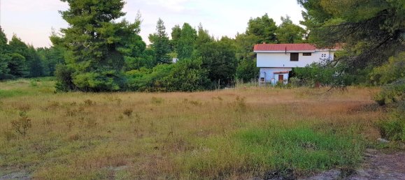 19895m² Hotel in Chalkidiki, Greece No. 5454 4