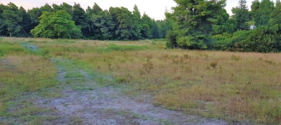 19895m² Hotel in Chalkidiki, Greece No. 5454 3