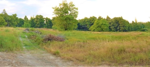 19895m² Hotel in Chalkidiki, Greece No. 5454 5