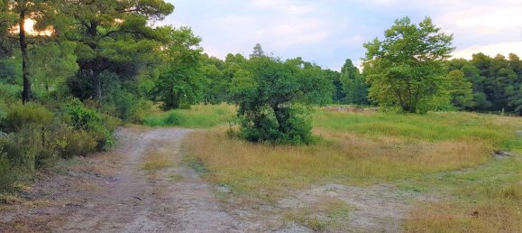 19895m² Hotel in Chalkidiki, Greece No. 5454 2