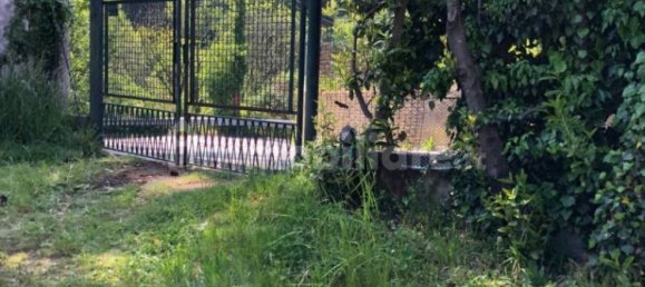 1 Schlafzimmer Wohnung in Gignese, Italy, Nr. 322034 16