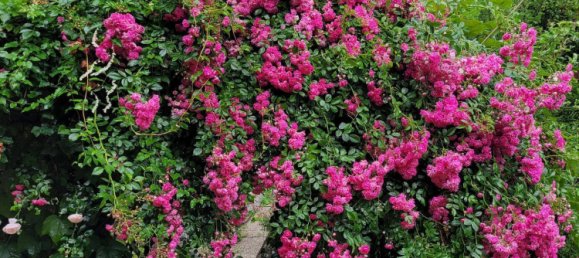 6 rooms House in Piesendorf, Austria No. 141879 8