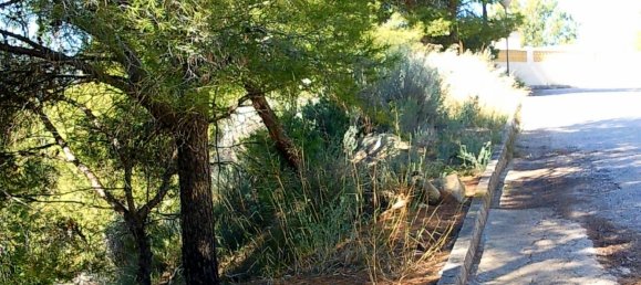  Land in Calpe, Spain No. 96469 4