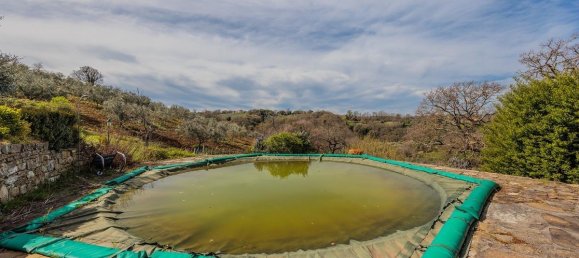 3 Schlafzimmer Haus in Scansano, Italy, Nr. 60275 11