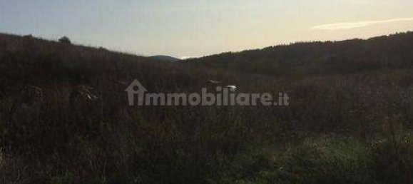 1200m² Land in Casole d'Elsa, Italy No. 95302 7