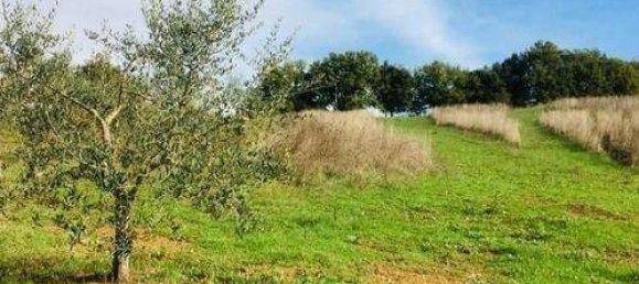 1200m² Land in Casole d'Elsa, Italy No. 95302 3