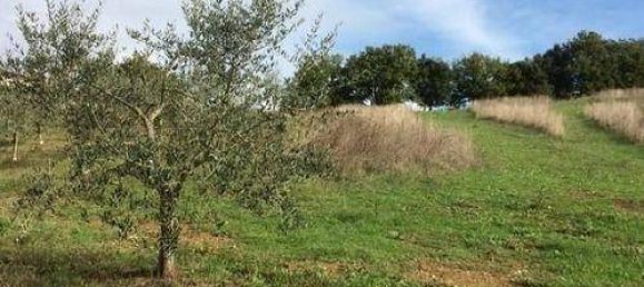 1200m² Land in Casole d'Elsa, Italy No. 95302 10