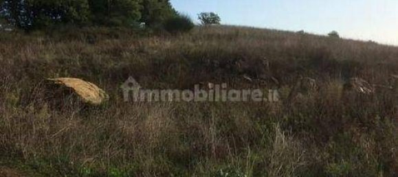 1200m² Land in Casole d'Elsa, Italy No. 95302 6