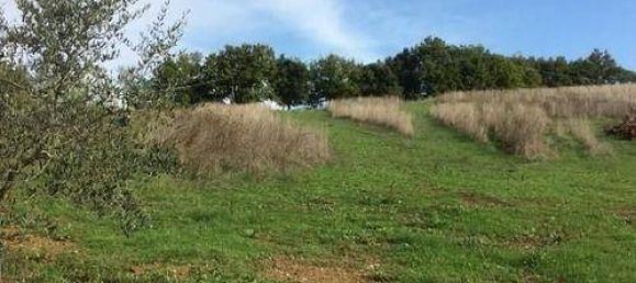 1200m² Land in Casole d'Elsa, Italy No. 95302 8