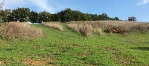 1200m² Land in Casole d'Elsa, Italy No. 95302 9