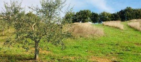 1200m² Land in Casole d'Elsa, Italy No. 95302 2