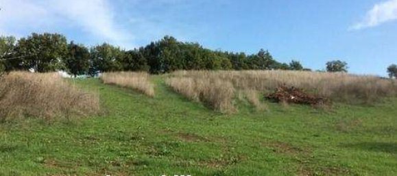 1200m² Land in Casole d'Elsa, Italy No. 95302 4