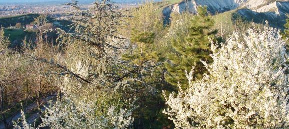 16 rooms Building in Valsamoggia, Italy No. 149819 18