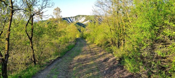 16 rooms Building in Valsamoggia, Italy No. 149819 2