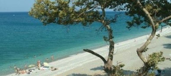 Недвижимость 1000м² в Лариса, Фессалия, Фессалия и Центральная Греция, Греция № 6569 8