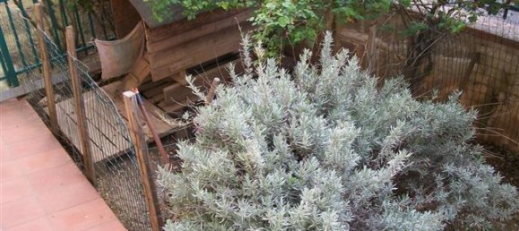 5 rooms House in Bucine, Italy No. 236477 7