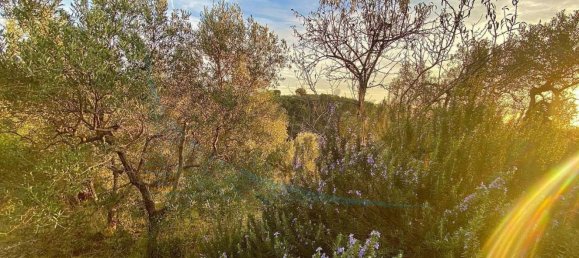 Земельный участок 20м² в Рипарбелла, Италия № 179298 6