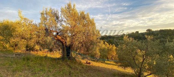 Земельный участок 20м² в Рипарбелла, Италия № 179298 5