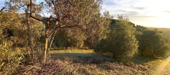 Земельный участок 20м² в Рипарбелла, Италия № 179298 12