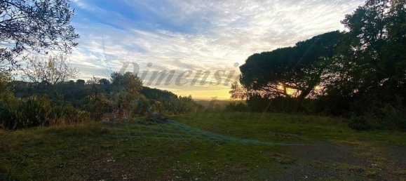 Земельный участок 20м² в Рипарбелла, Италия № 179298 4