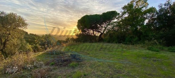 Земельный участок 20м² в Рипарбелла, Италия № 179298 7